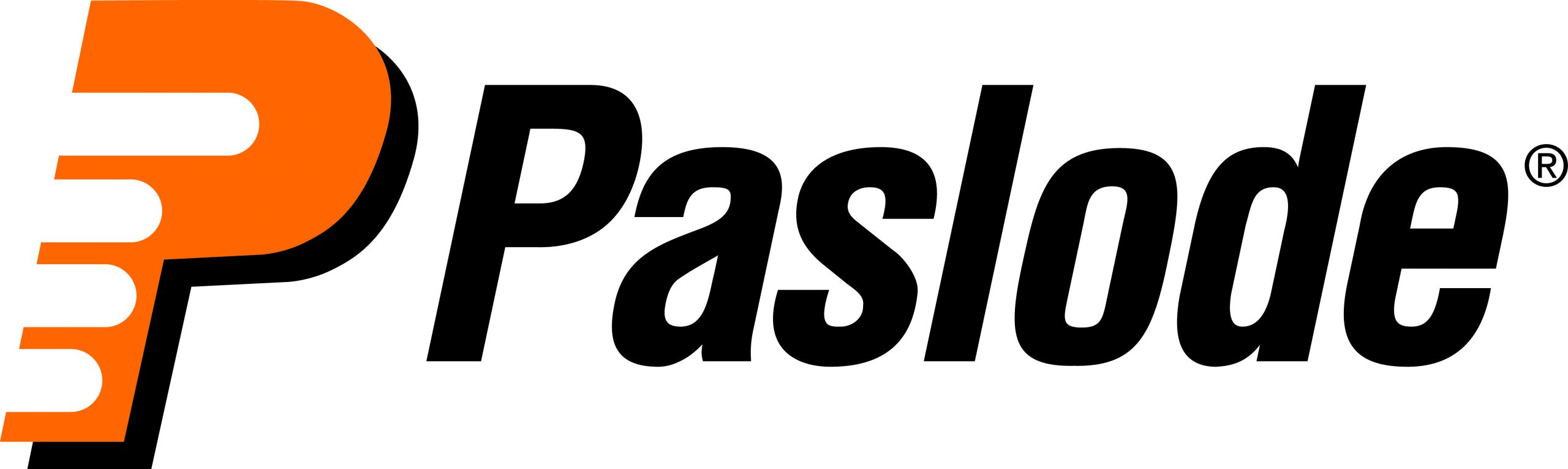 Paslode Nagler